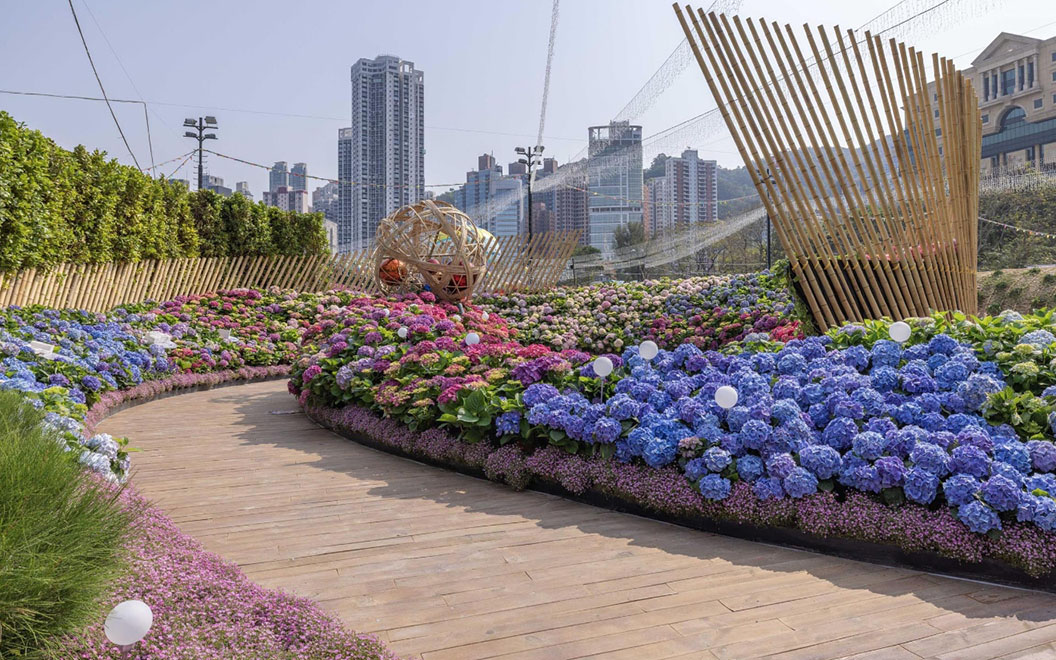 The vibrant colours of “Hydrangea Flora Sea” were showcased for visitors to enjoy and capture their unique and unforgettable moments and experiences.