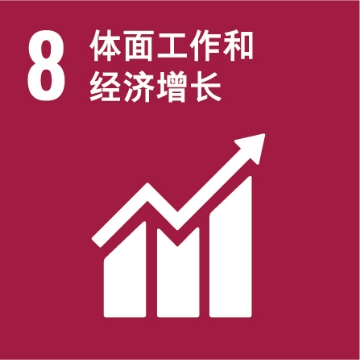 UNSDG 8：体面工作和经济增长